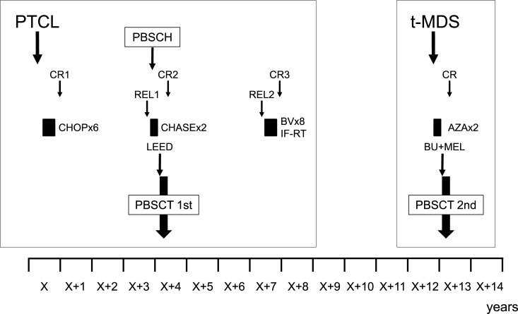 A case of peripheral T-cell lymphoma in which therapy-related myelodysplastic syndrome developed and a second autologous transplantation was performed.