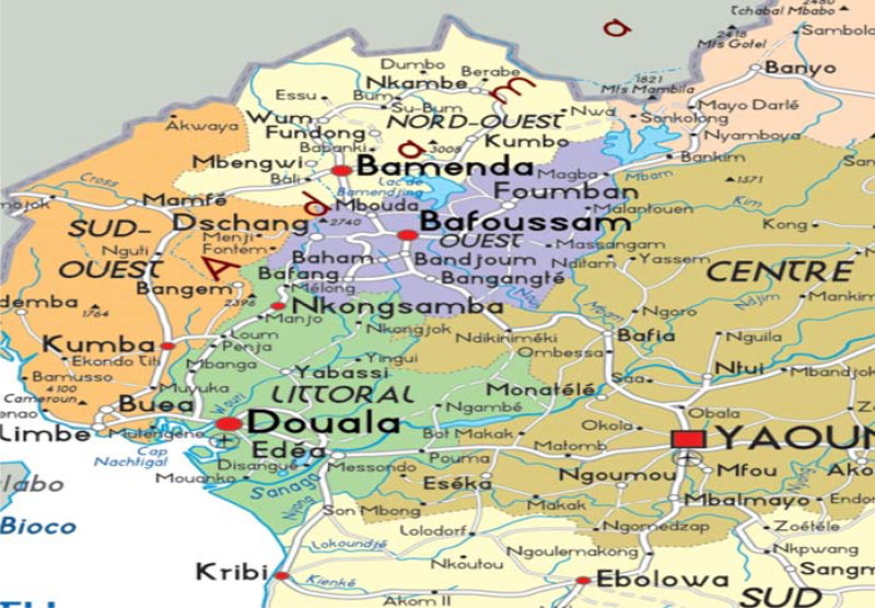 The effects of nutrition and health education on the nutritional status of internally displaced schoolchildren in Cameroon: a randomised controlled trial.