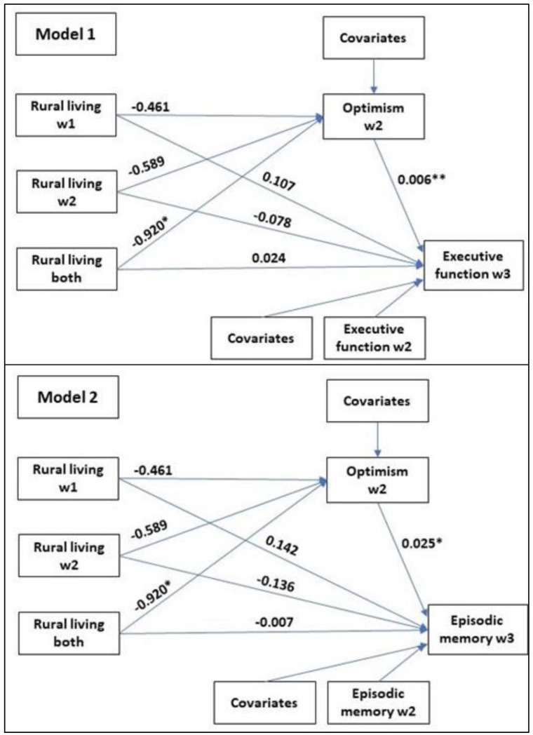 Impact of Optimism on Cognitive Performance of People Living in Rural Area: Findings From a 20-Year Study in US Adults.