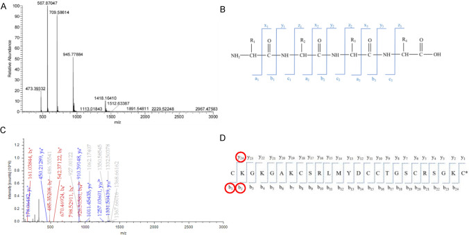 Reductive amination of ω-conotoxin MVIIA: synthesis, determination of modification sites, and self-assembly