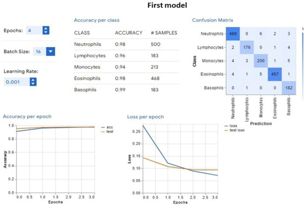 Empowering healthcare professionals with no-code artificial intelligence platforms for model development, a practical demonstration for pathology.