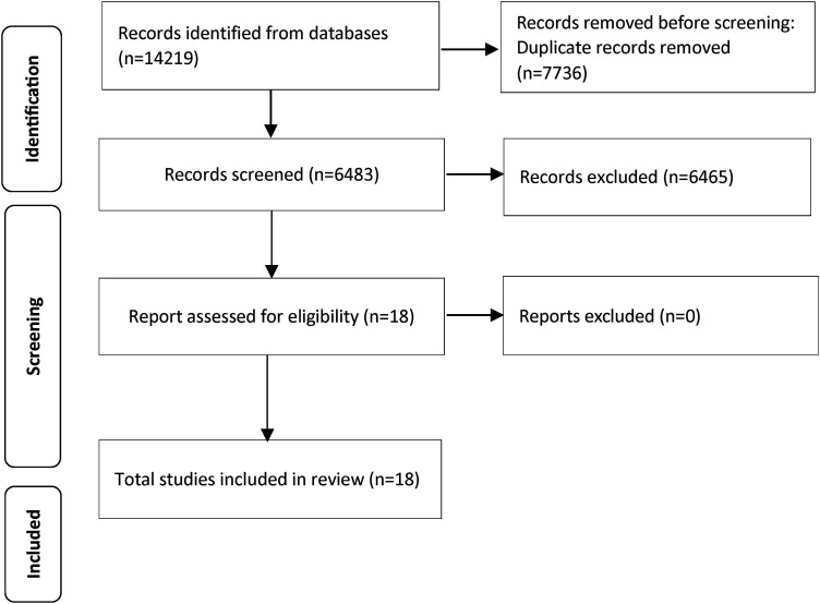 Artificial Intelligence and Decision-Making in Healthcare: A Thematic Analysis of a Systematic Review of Reviews.