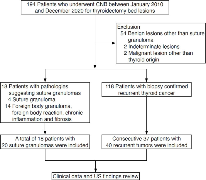 Knot-and-ear sign: a pathognomonic ultrasonographic feature of suture granuloma after thyroid surgery.