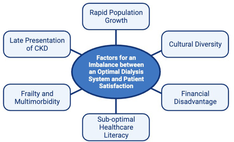 Advances in Human-Centered Care to Address Contemporary Unmet Needs in Chronic Dialysis.