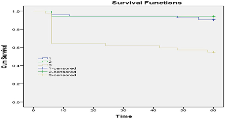 The Relationship Between Tumor Budding and Patient's Survival in Breast Cancer.