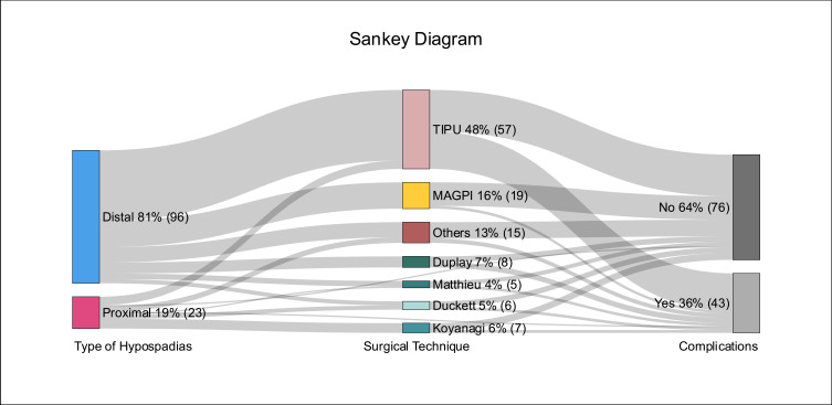Outcomes of Hypospadias Repair Based on Surgical Techniques: A 4-Year Retrospective Study.