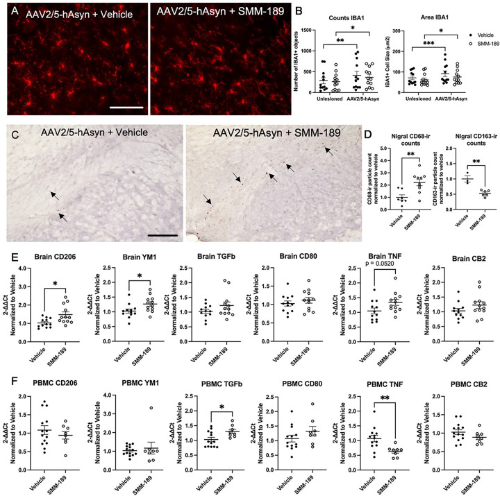 Modulation of cannabinoid receptor 2 alters neuroinflammation and reduces formation of alpha-synuclein aggregates in a rat model of nigral synucleinopathy.