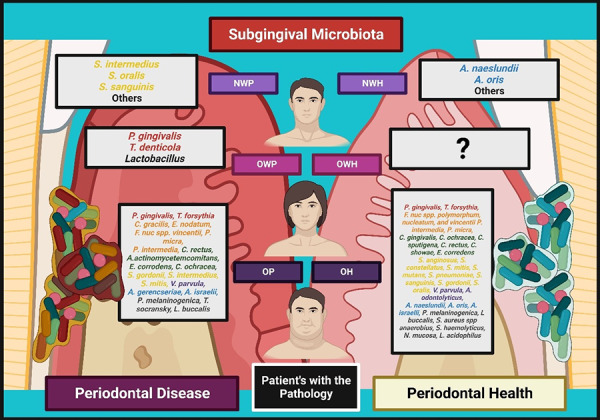 Influence of obesity on subgingival microbiota composition in subjects with different periodontal status: a systematic review.