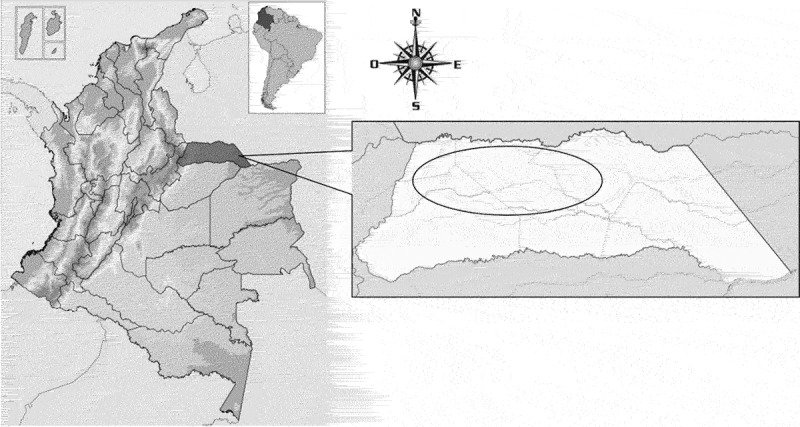 Breed and non-genetic risk factors associated with the prevalence of subclinical mastitis in livestock systems of Arauca, Colombian orinoquia.