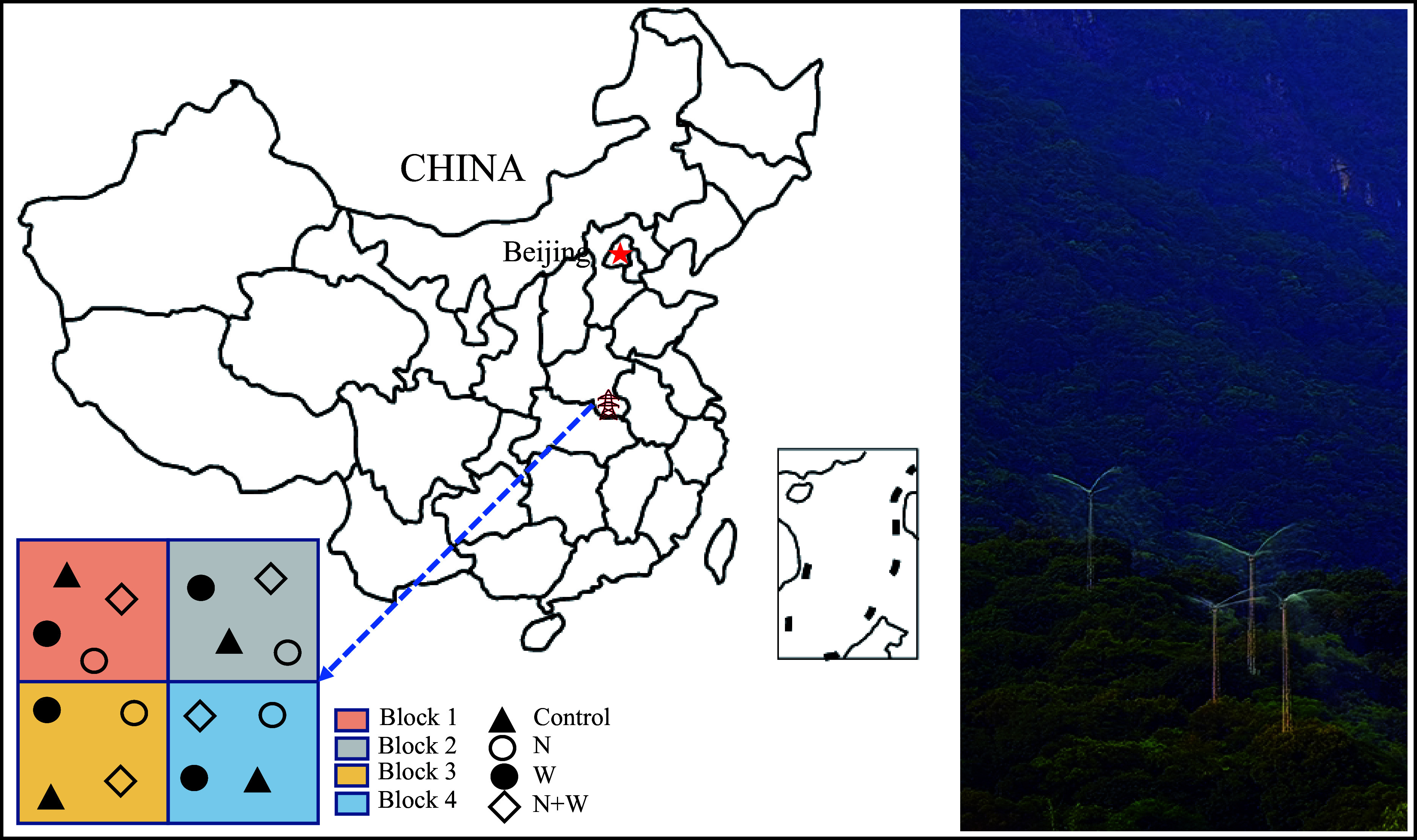 Influence of nitrogen water interaction on leaf functional traits of dominant species in warm temperate forest.