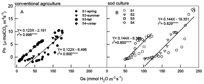 Gas exchange and chlorophyll fluorescence responses of Camellia sinensis grown under various cultivations in different seasons.