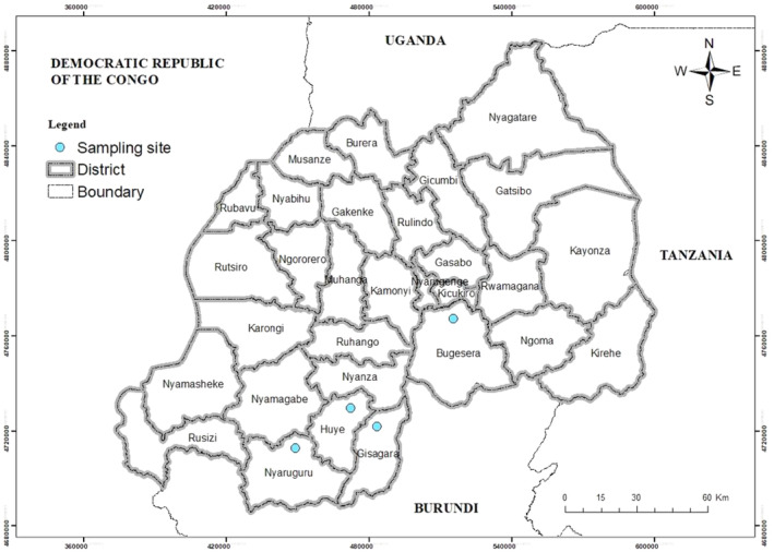 Determination of abundance and symbiotic effectiveness of native rhizobia nodulating soybean and other legumes in Rwanda.