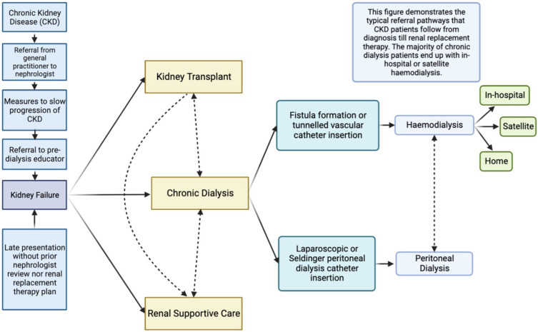 Advances in Human-Centered Care to Address Contemporary Unmet Needs in Chronic Dialysis.