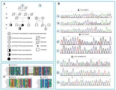 Analysis of Hereditary FXII Deficiency Caused by Three Mutations Including a Novel Mutation