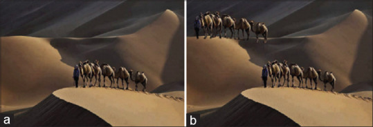 The Optimal Model for Copy-Move Forgery Detection in Medical Images.