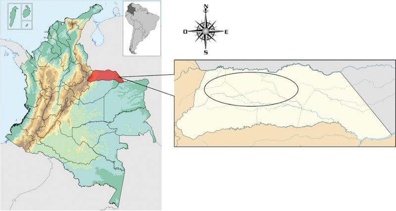 Breed and non-genetic risk factors associated with the prevalence of subclinical mastitis in livestock systems of Arauca, Colombian orinoquia.