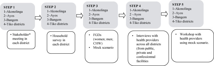 Developing the BornFyne prenatal management system version 2.0: a mixed method community participatory approach to digital health for reproductive maternal health.