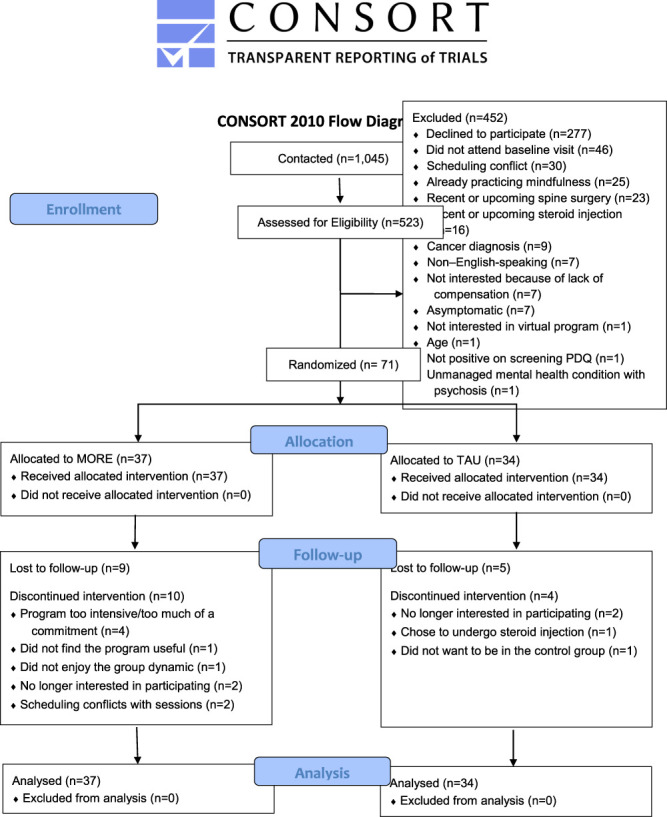 Virtually delivered Mindfulness-Oriented Recovery Enhancement (MORE) reduces daily pain intensity in patients with lumbosacral radiculopathy: a randomized controlled trial.