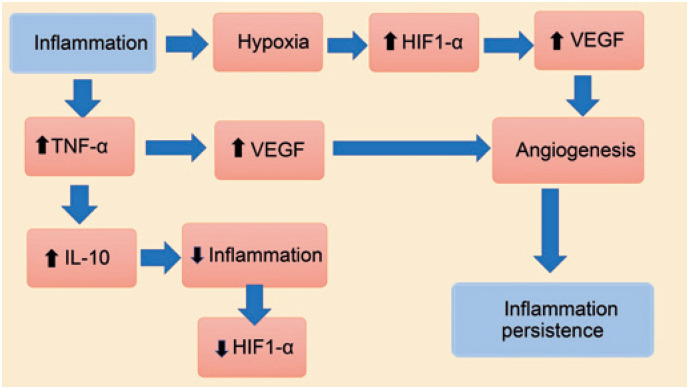 New immunological aspects of peri-implantitis.