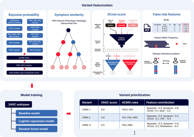 Explicable prioritization of genetic variants by integration of rule-based and machine learning algorithms for diagnosis of rare Mendelian disorders.