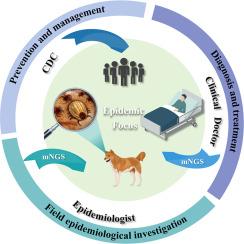 Diagnosing and reintegrating traceability of infectious diseases via metagenomic next-generation sequencing: Study of a severe case of Rickettsia japonica infection