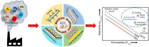 Recent progress on functional polymeric membranes for CO2 separation from flue gases: A review