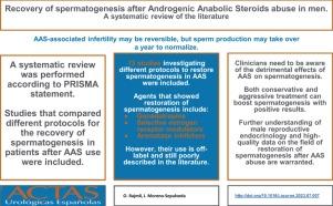 Recovery of spermatogenesis after androgenic anabolic steroids abuse in men. A systematic review of the literature