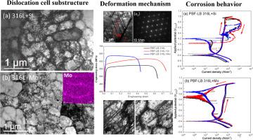 Elemental decoration design with metastable cellular substructures for additively manufactured high-strength and high-corrosion resistant austenitic stainless steel