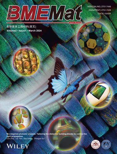 Bio-inspired photonic crystals: Tailoring the dielectric building blocks to control the light propagation (1/2024)