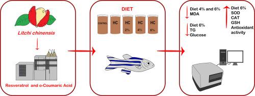 Diet with different concentrations of lychee peel flour modulates oxidative stress parameters and antioxidant activity in zebrafish