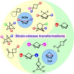 Strain-release transformations of bicyclo[1.1.0]butanes and [1.1.1]propellanes