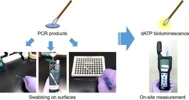 Application of bioluminescence assay to assess PCR carryover contamination in forensic DNA laboratories