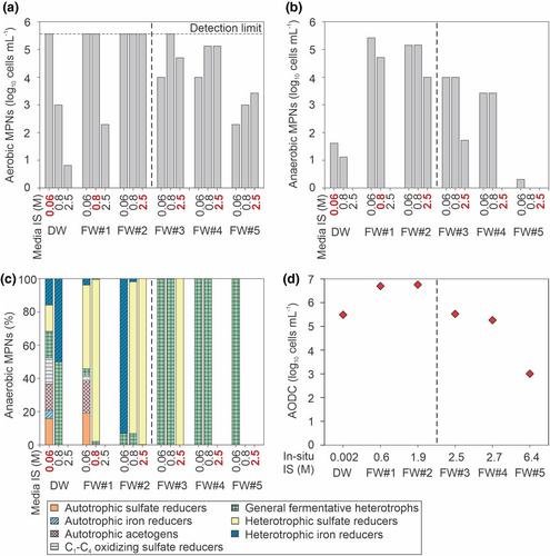 Hydrogeological controls on microbial activity and habitability in the Precambrian continental crust