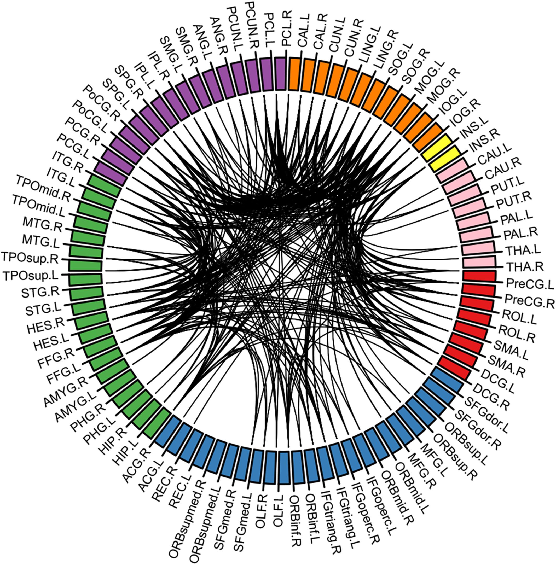 Sex differences in functional connectivity and the predictive role of the connectome-based predictive model in Alzheimer's disease