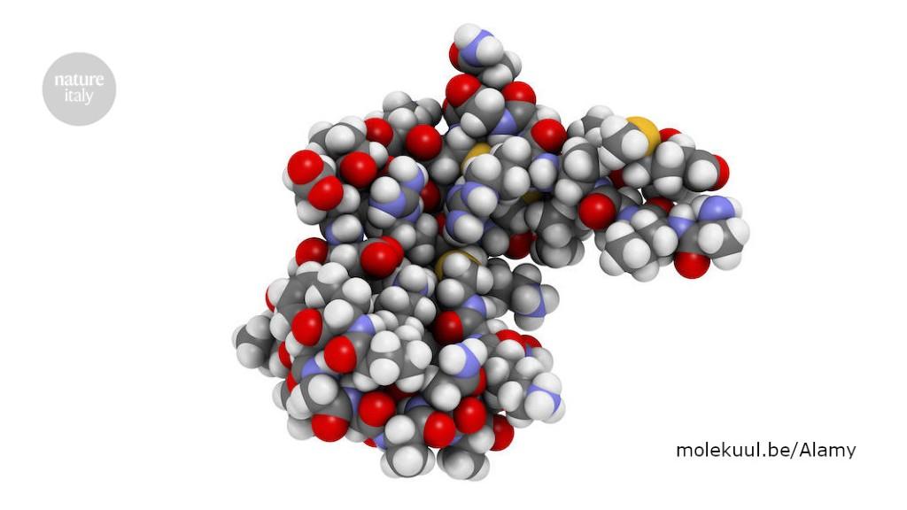 Un interruttore epigenetico per ridurre il rischio da colesterolo