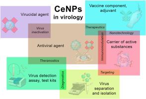 CeO2 nanoparticles and cerium species as antiviral agents: Critical review