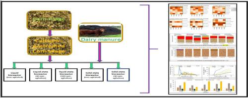 Impact of agitation and non-agitation on microbiota and reactor performance in anaerobic digestion