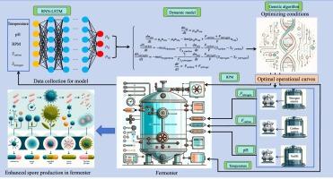 Modeling and optimization of sporulation by Bacillus licheniformis BF-002 based on dynamics and recurrent neural networks