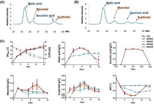 Unlocking the potentials of Ustilago trichophora for up-cycling polyurethane-derived monomer 1,4-butanediol