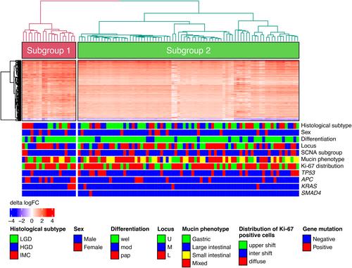 A genome-wide study of gastric intramucosal neoplasia based on somatic copy number alterations, gene mutations, and mRNA expression patterns