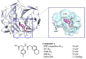 Screening approaches for the identification of Nrf2-Keap1 protein-protein interaction inhibitors targeting hot spot residues