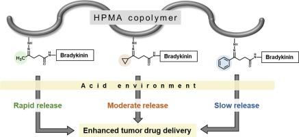 Chemical modification of bradykinin-polymer conjugates for optimum delivery of nanomedicines to tumors