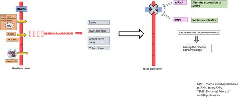 Role of MicroRNAs as post transcription regulators of matrix metalloproteinases and their association in tuberculous meningitis