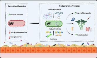 Next generation probiotics: Engineering live biotherapeutics