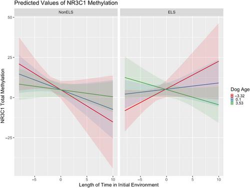 A dog's life: Early life histories influence methylation of glucocorticoid (NR3C1) and oxytocin (OXTR) receptor genes, cortisol levels, and attachment styles