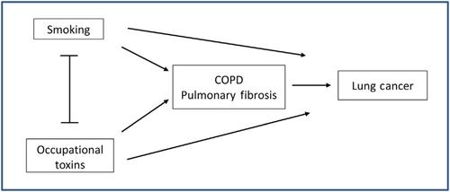 Occupational lung cancer screening: A Collegium Ramazzini statement