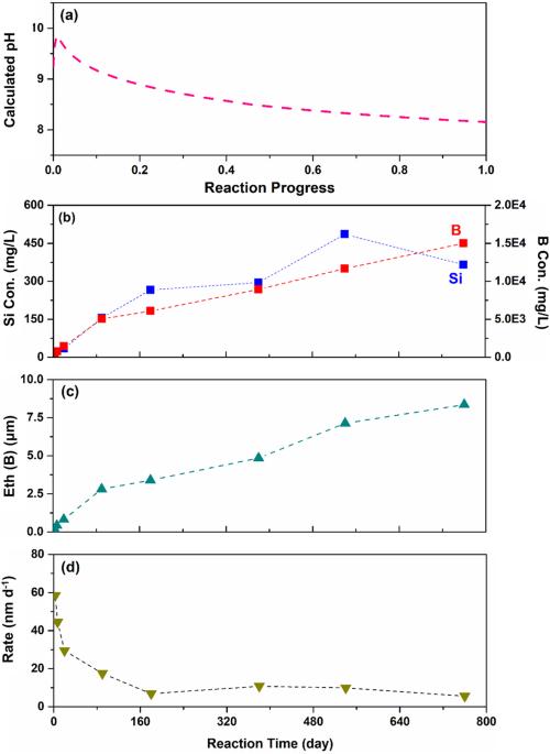 Formation and evolution of secondary phases and surface altered layers during borosilicate glass corrosion in pore water