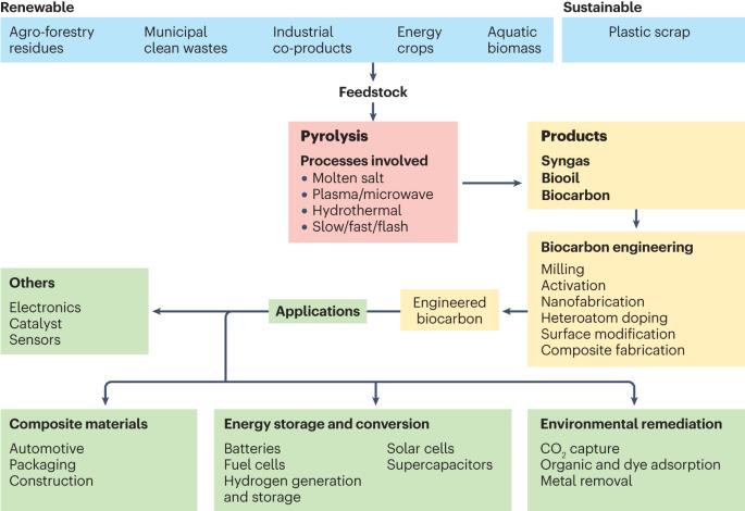 Biocarbon materials