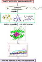 In silico prediction of CD8+ and CD4+ T cell epitopes in Leishmania major proteome: Using immunoinformatics