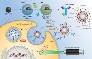 Evaluating a targeted Palbociclib-Trastuzumab loaded smart niosome platform for treating HER2 positive breast cancer cells